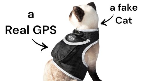 Mini Realtime Portable Quadband GSM GPRS GPS Tracker - Pet Protection Size:M